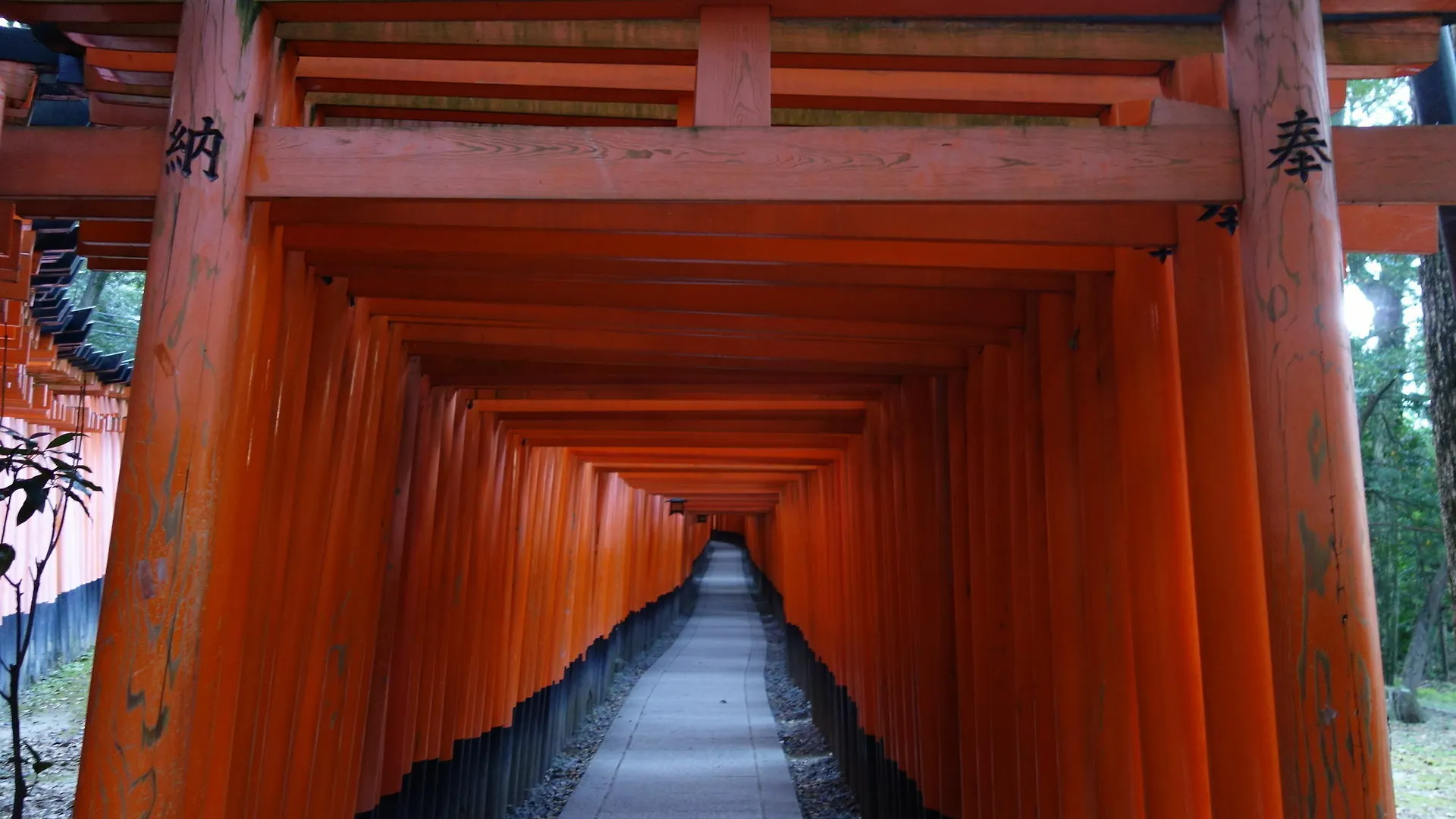 Kyo-Machiya Stay Waka Fushimiinari Kyoto