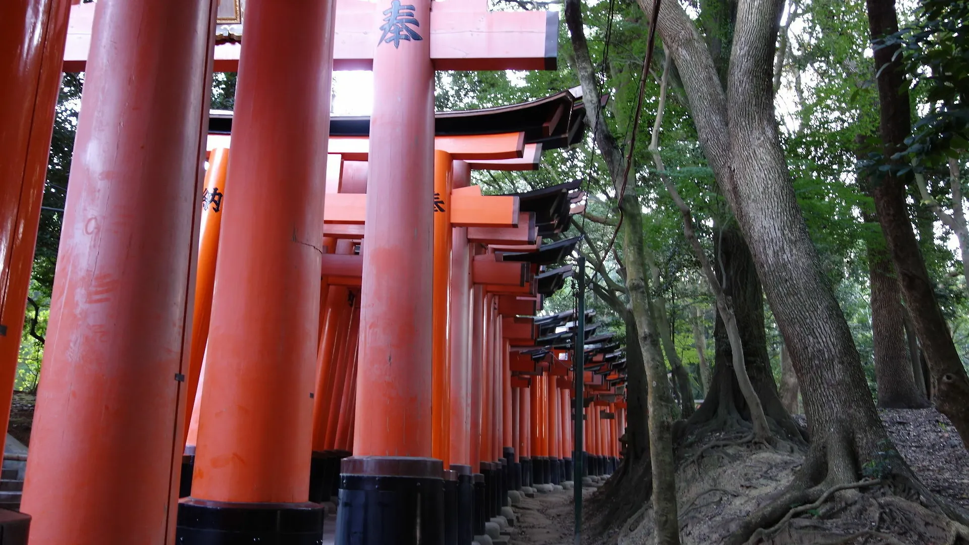 Holiday home Kyo-Machiya Stay Waka Fushimiinari Kyoto